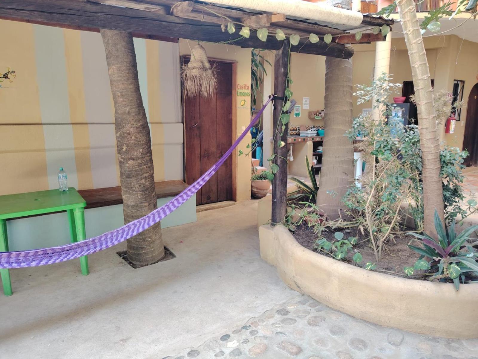 ホテル Punta Mar Brisas de Zicatela エクステリア 写真